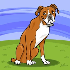 Fototapete Hunden Boxer reinrassiger Hund Cartoon Illustration