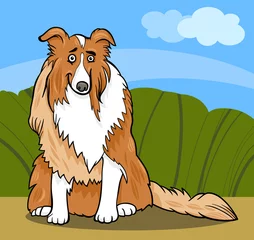 Abwaschbare Fototapete Hunden Collie reinrassiger Hund Cartoon Illustration