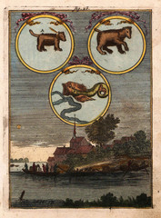 Astronomical chart vintage