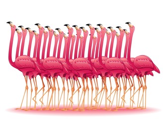 Naklejka premium Grupa Pink Flamingos - Flock-Pink Flamingos Group
