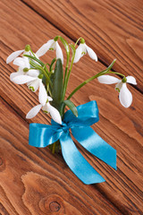 Obraz na płótnie Canvas Bouquet of snowdrops tied a blue ribbon on a wooden table