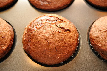 Chocolate Muffins Fresh Out of the Oven