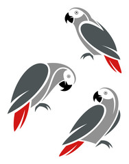 Stylized African Grey Parrot