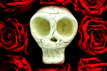 骸骨　薔薇