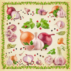 Collection of garlic and onion on paper background