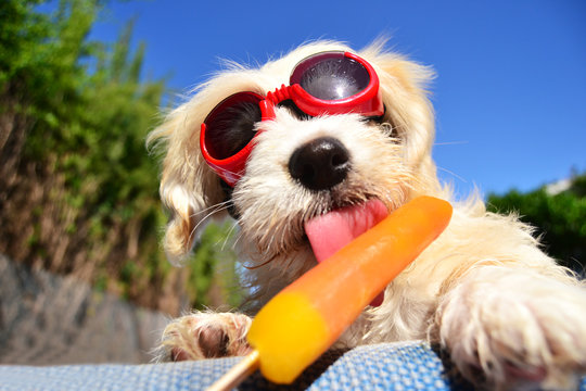 Sommerzeit