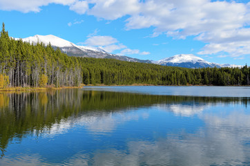 Herbert Lake