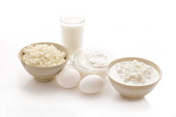 dairy products