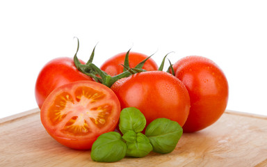 Wet tomatoes on a vine with fresh basil