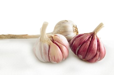 garlic as spicy vegetable and natural medicine