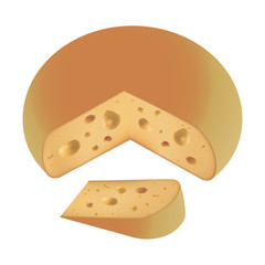 piece of cheese