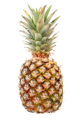 Fototapeta premium Pineapple