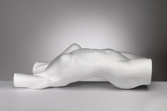 Torso