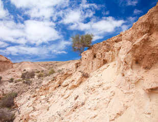 Fototapeta premium Inland Northern Fuerteventura
