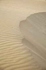 Obraz premium Sand dune