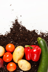 vegetables on the soil