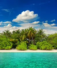Foto op Plexiglas landscape of tropical island beach © LiliGraphie