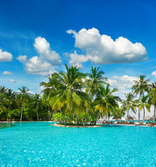 swimming pool with palm trees and blue sky