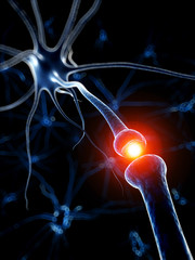 3d rendered medical illustration - active neurone
