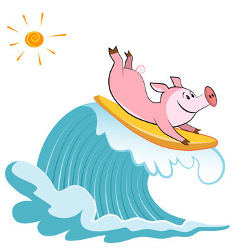 Cartoon pig Surfer