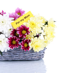Bouquet of beautiful chrysanthemums in wicker basket isolated