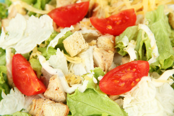 Caesar salad on white plate, close up