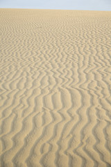 Desert ripples