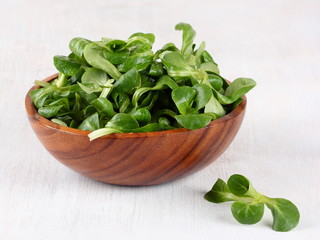 fresh salad leaves in a wooden bowl