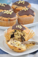 Schokoladen Muffins