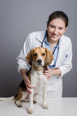 Animal health professional