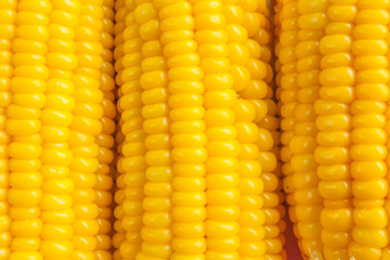 Corn