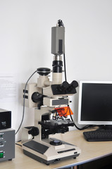 electronic microscope