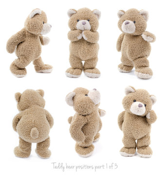 Naklejka Teddy bear positions part 1 of 3