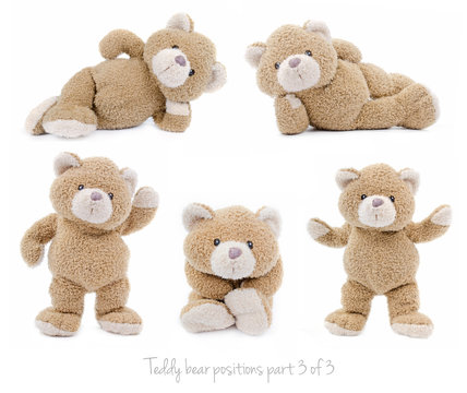 Naklejka Teddy bear positions part 3 of 3