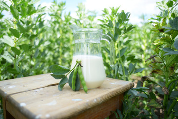 Sojamilch im Sojafeld