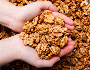 walnuts in hand