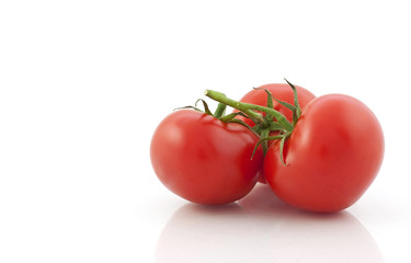 Tomato isolated