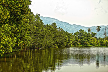 Amazing tropical landscape photo.