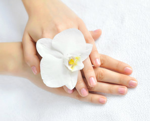Beautiful woman hands with white orchid flower