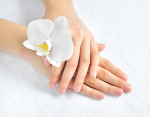 Obraz na płótnie Canvas Beautiful woman hands with white orchid flower