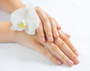 Beautiful woman hands with white orchid flower