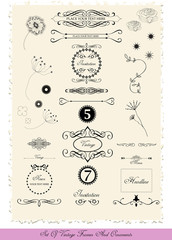 set of calligraphic vintage design elements