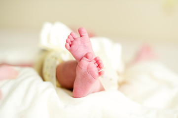 Infant's small feet closeup