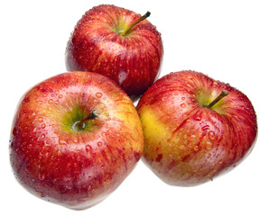 Three juicy apples lay on white background