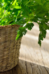 green, organic parsley on wooden table