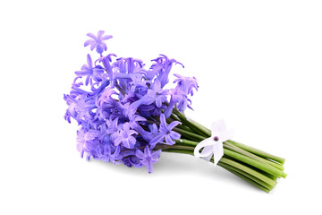 Hyacinth bouquet isolated on a white background