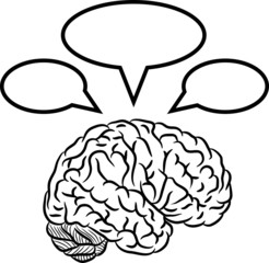 Brain with frames
