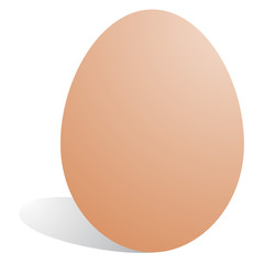 Vector egg