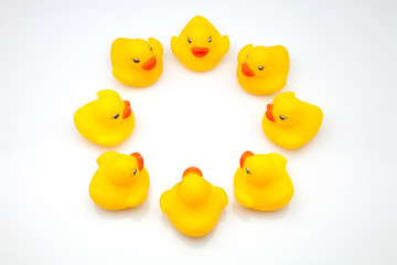 patos amarillos