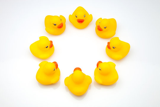 patos amarillos